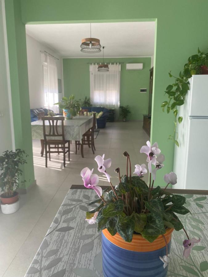 La Casa Verde Appartement Cinisi Buitenkant foto